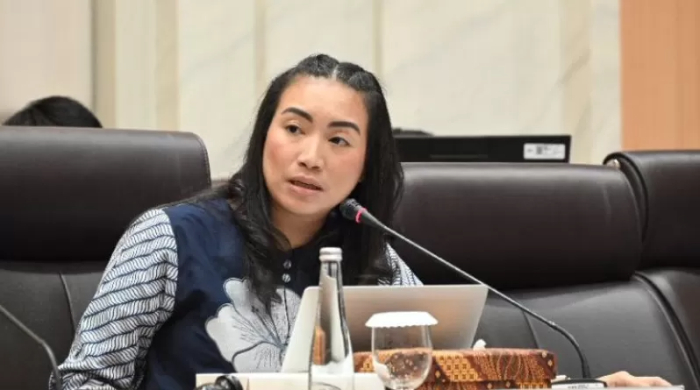 Rahayu Saraswati Mundur, Kritik Pedas untuk DPR