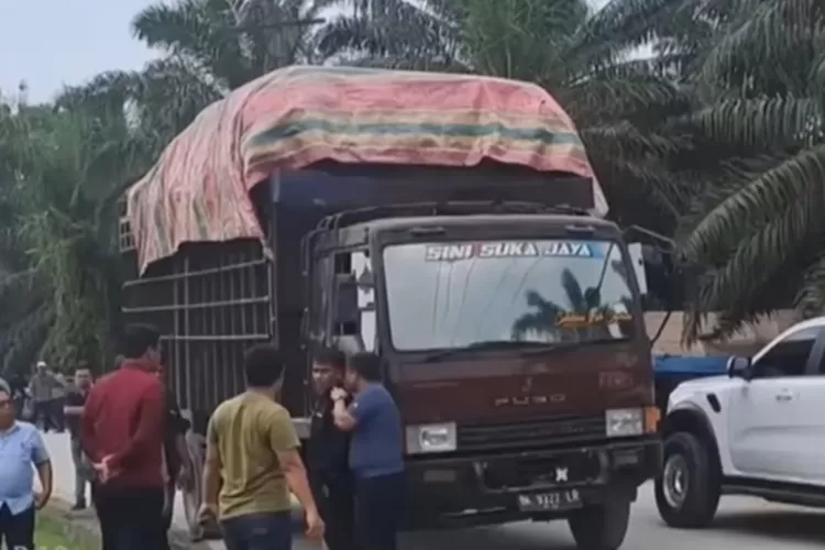 Razia Plat Aceh di Sumut Viral, DPR: Jangan Pancing Ketegangan