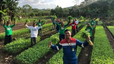 Komitmen Keberlanjutan PGN Group Diapresiasi KLH dengan Penghargaan PROPER Emas dan Hijau