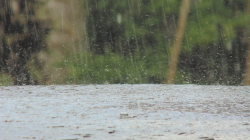 Darurat! Mikroplastik di Air Hujan, DPR Desak Regulasi Limbah