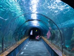 Proyek Rogfast Norwegia: Terowongan Bawah Laut Terpanjang 26,7 Km Dibangun Senilai €1,9 Miliar