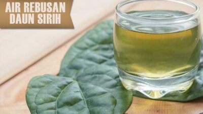 Catat! Ini 5 Manfaat Minum Air Rebusan Daun Sirih Bagi Kesehatan