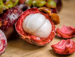Ini Lima Manfaat Dahsyat Konsumsi Buah Manggis