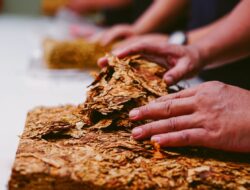 Ini Sederet Cara Ampuh Mengatasi Kecanduan Nikotin