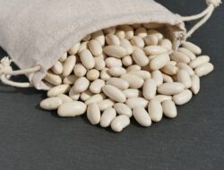 Selain Mencegah Osteoporosis, Ini Sederet Khasiat Kacang Putih bagi Tubuh