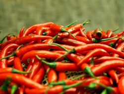 Ini Cara Efektif Mengatasi Rasa Pedas di Tangan usai Mengolah Cabai