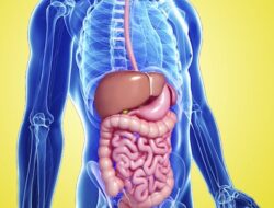 5 Kebiasaan Pagi Hari Ini Ampuh Tingkatkan Kesehatan Usus