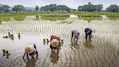 Lawan Krisis Pangan: Sekolah Pangan Sasar Generasi ZLawan Krisis Pangan: Sekolah Pangan Sasar Generasi Z