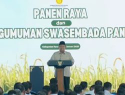 Euforia Swasembada Beras dan Amnesia Kegagalan Masa Lalu