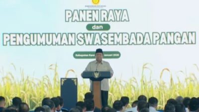Euforia Swasembada Beras dan Amnesia Kegagalan Masa Lalu